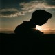 Arber profile picture